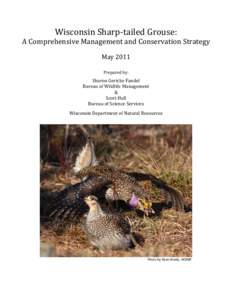 Wisconsin Sharp-tailed Grouse Management Plan