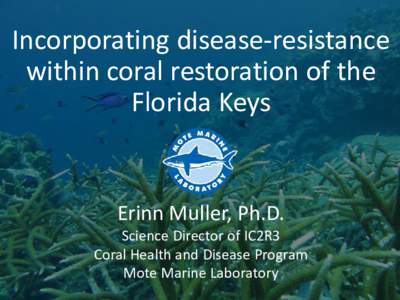 Erinn Muller, Ph.D. Staff Scientist, Mote Marine Laboratory Coral Health and Disease Program