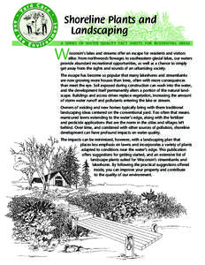 Shoreline Plants and Landscaping A SERIES OF WATER QUALITY FACT SHEETS FOR RESIDENTIAL AREAS W