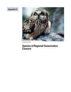 USFWS  Appendix C Short-Eared Owl