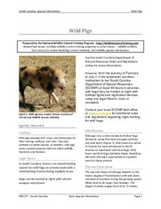 South Carolina Species Information  Wild Pigs Wild Pigs Prepared by the National Wildlife Control Training Program. http://WildlifeControlTraining.com