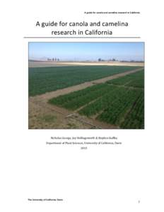    A guide for canola and camelina research in California A	
  guide	
  for	
  canola	
  and	
  camelina	
   research	
  in	
  California	
  
