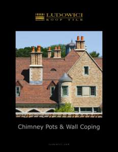Chimney Pots & Wall Coping L u d o w i c i . c o m Selecting a Chimney Pot When selecting a chimney pot that will function properly it is important to consider the top opening in relation to the fireplace opening, and t