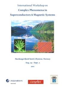 International Workshop on  Complex Phenomena in  Superconductors & Magnetic Systems  Hardangerfjord hotel, Øystese, Norway  Aug. 29 – Sept. 2 