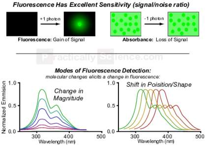 fluorescence-sensor-intro-v2
