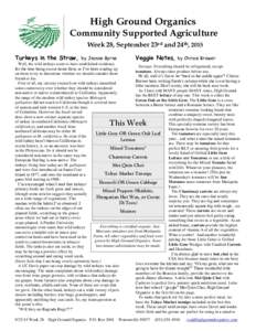 High Ground Organics Community Supported Agriculture Week 28, September 23rd and 24th, 2015 Turkeys in the Straw,  by Jeanne Byrne