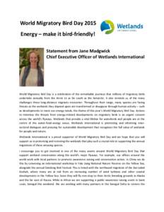 World Migratory Bird Day 2015 Energy – make it bird-friendly! Statement from Jane Madgwick Chief Executive Officer of Wetlands International  World Migratory Bird Day is a celebration of the remarkable journeys that mi