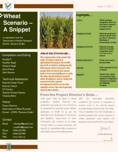 Issue 1 | 2013 Highlights… Wheat Scenario – A Snippet