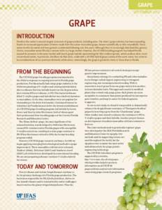 Wine / Muscadine / Grape / Hybrid grapes / Vitis vinifera / Vitis / Illinois wine / Vitis riparia / Flora of the United States / Viticulture / Agriculture
