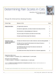 Determining Pain Scores in Cats Wendy Baltzer, DVM, PhD, Diplomate ACVS Oregon State University Visual & Interactive Analog Scales Criteria Type