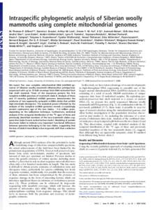 Intraspecific phylogenetic analysis of Siberian woolly mammoths using complete mitochondrial genomes M. Thomas P. Gilberta,b, Daniela I. Drautzc, Arthur M. Leskc, Simon Y. W. Hod, Ji Qic, Aakrosh Ratanc, Chih-Hao Hsuc, A