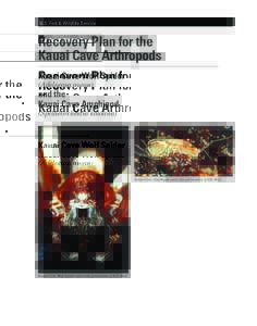 DRAFT RECOVERY PLAN FOR THE