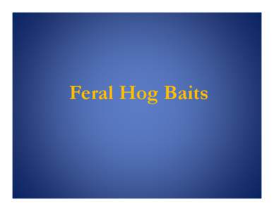 Feral Hog Baits  South Texas Bait Trial • August 2006 Trial Evaluated 11 Baits • 10 Liquid Feed Additives (anise, bubblegum, butterscotch, berry, strawberry, caramel, apple,