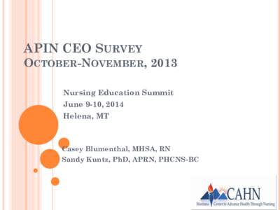 APIN CEO SURVEY OCTOBER-NOVEMBER, 2013 Nursing Education Summit June 9-10, 2014 Helena, MT