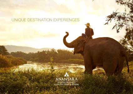 UNIQUE DESTINATION EXPERIENCES  Explore the enchanting world of elephants at Asia’s premier Elephant Camp, as you set out on a once in a lifetime journey with Anantara