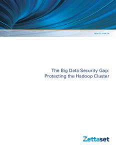 W h i t e pa p e r  The Big Data Security Gap: