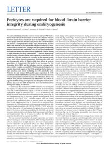 LETTER  doi:nature09513 Pericytes are required for blood–brain barrier integrity during embryogenesis