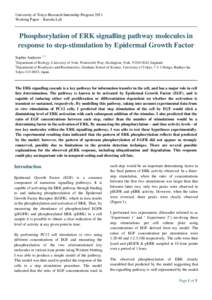 University of Tokyo Research Internship Program 2011 Working Paper – Kuroda Lab Phosphorylation of ERK signalling pathway molecules in response to step-stimulation by Epidermal Growth Factor Sophie Andrews 1,2