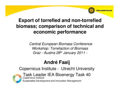 Export of torrefied and non-torrefied biomass; comparison of technical and economic performance Central European Biomass Conference Workshop: Torrefaction of Biomass Graz - Austria 28th January 2011 -