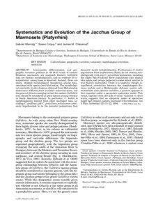 AMERICAN JOURNAL OF PHYSICAL ANTHROPOLOGY 123:11–[removed]Systematics and Evolution of the Jacchus Group of