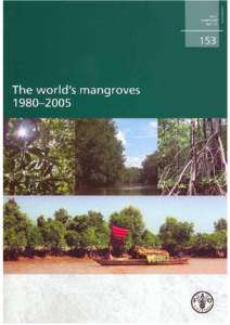 Aquatic ecology / Ecology / Water / Mangrove / Biogeography / Ecological values of mangroves / Mangrove tree distribution
