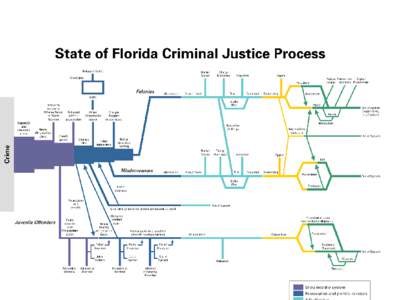 Criminal Justice Process An Operational Perspective Police (Arrest)