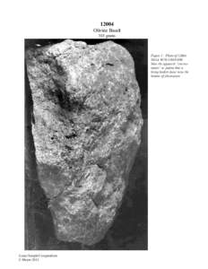 12004 Olivine Basalt 585 grams Figure 1: Photo ofNASA #S70.