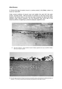 Wind Erosion In Victoria this type of erosion occurs to a serious extent in the Mallee, where it is known as 