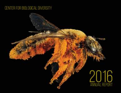 Center for Biological DiversityAnnual report  1