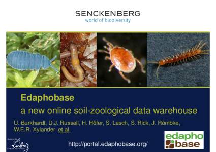 Edaphobase a new online soil-zoological data warehouse U. Burkhardt, D.J. Russell, H. Höfer, S. Lesch, S. Rick, J. Römbke, W.E.R. Xylander et al.  http://portal.edaphobase.org/