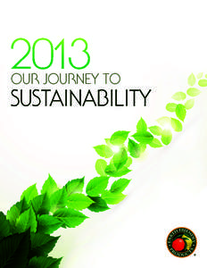 2013  OUR JOURNEY TO SUSTAINABILITY