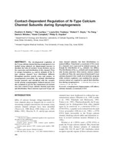 Contact-Dependent Regulation of N-Type Calcium Channel Subunits during Synaptogenesis Fredrick H. Bahls, 1, * Raj Lartius, 1, * Louis-Eric Trudeau, 1 Robert T. Doyle, 1 Yu Fang, 1 Derrick Witcher, 2 Kevin Campbell, 2 Phi
