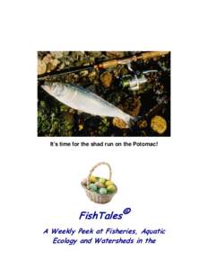 Cod fisheries / Salmon / Cod / Rogue River / SPAWN / Fishing / Index of fishing articles / Environmental impact of fishing / Fish / Fisheries / Riparian zone