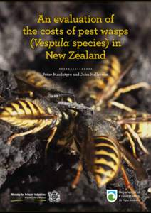 An evaluation of the costs of pest wasps (Vespula species) in New Zealand Peter MacIntyre and John Hellstrom