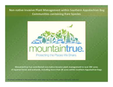 Non-native Invasive Plant Management within Southern Appalachian Bog Communities containing Rare Species MountainTrue has contributed non-native invasive plant management to over 200 acres of riparian forest and wetlands
