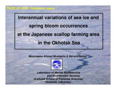 PICES XV, 2006, Yokohama, Japan.  Interannual variations of sea ice and spring bloom occurrences at the Japanese scallop farming area in the Okhotsk Sea