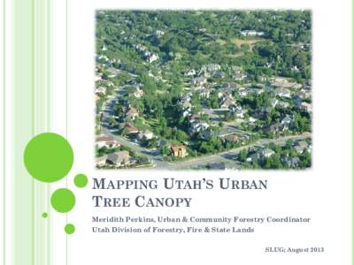 Mapping Urban Tree Canopy