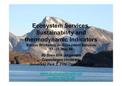 Ecosystem Services, Sustainability and thermodynamic Indicators