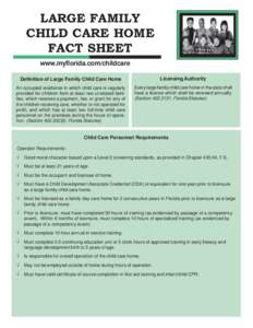 Large Family Fact Sheetpmd