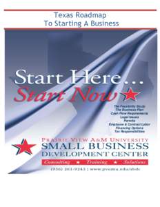 Texas Roadmap To Starting A Business The Feasibility Study The Business Plan Cash Flow Requirements