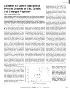 REPORTS  Selection on Gamete Recognition Proteins Depends on Sex, Density, and Genotype Frequency Don R. Levitan* and David L. Ferrell*