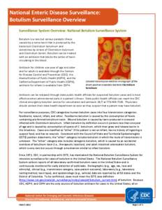 National Enteric Disease Surveillance: Botulism Surveillance Overview Surveillance System Overview: National Botulism Surveillance System Botulism is a rare but serious paralytic illness caused by a nerve toxin that is p