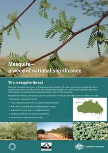 Mesquite— a weed of national significance The mesquite threat Mesquite (Prosopis spp.) is one of the greatest weed threats to the arid and semi-arid rangelands. It can transform grasslands and floodplains into impenetr