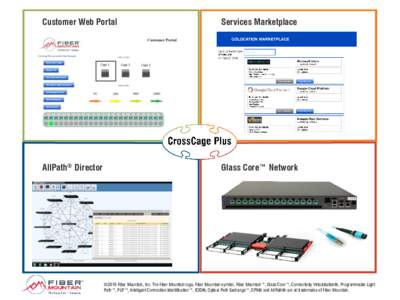 Customer Web Portal  Services Marketplace AllPath® Director