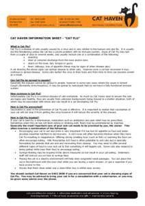 CAT HAVEN INFORMATION SHEET - “CAT FLU” What is Cat Flu? Cat Flu is a disease of cats usually caused by a virus and is very similar to the human cold and flu. It is usually not life threatening unless the cat has a s