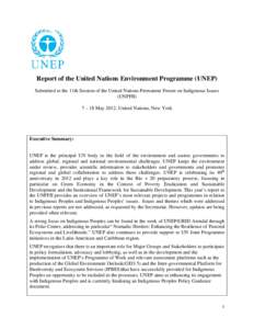 Microsoft Word - UNEP report_PFII_2012.Final3.5.12