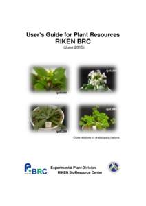 User’s Guide for Plant Resources  RIKEN BRC (Junesjo02800