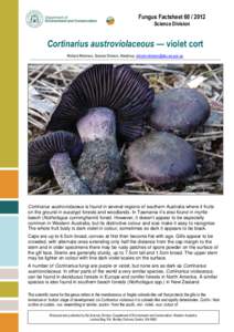 Fungus Factsheet[removed]Science Division Cortinarius austroviolaceous — violet cort Richard Robinson, Science Division, Manjimup, [removed]