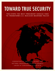 toward True Security Ten Steps the Next President Should Take to Transform U.S. Nuclear Weapons Policy