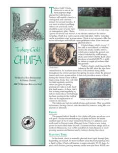 ®  CHUFA Written by Ron Brenneman & Henry Daniel NWTF WILDLIFE BULLETIN NO.7